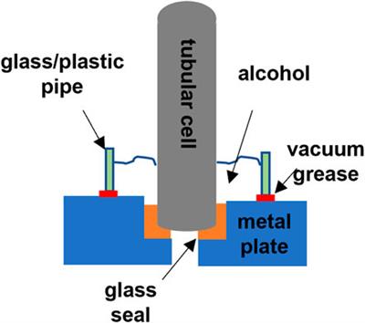 Leak test for solid oxide fuel cells and solid oxide electrolysis cells